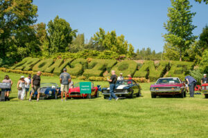 2023 Ironstone Concours - Field 106